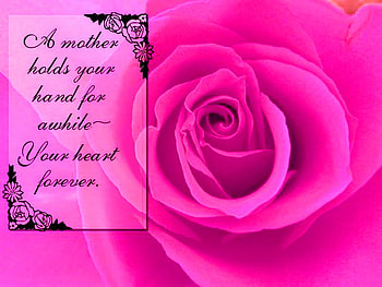 Celebration of Mothers, mothers day, rose, tribute, love, may 6, celebration HD wallpaper