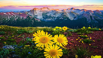 Snowmass Lake in the Maroon-Bells Snowmass Wilderness outside Aspen, Colorado, clouds, landscape, meadow, flowers, sky, mountains, sunset, usa, wildflowers, blossoms HD wallpaper