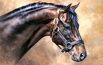 Alleged - Horse F2, animal, horse, racing, art, thorobred, head, artwork, wide screen, painting, equine, race horse, thoroughbred HD wallpaper