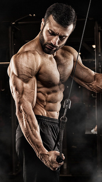 Bodybuilding on your , Motivational backgrounds, Fitness inspiration HD phone wallpaper