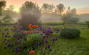 Midsummer Garden, mist, garden, Latvia, sunrise, midsummer HD wallpaper