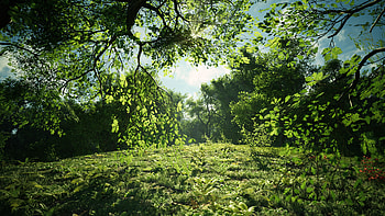 Unreal Engine 4 art, Wild oak trees, Artistic marvel, Captivating visuals HD wallpaper