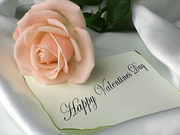 Happy Valentines day friends, rose, greeting, pink, Valentines day HD wallpaper