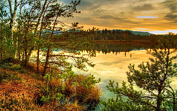The Golden Lake, high dynamic range, plants, awesome, , colors, reflections, nice, trees, reflex, mirror, maroon, multicolor, green, view, nature, , blue, colorful, natural, golden lake, graphy, ambar, , gold, brown, amazing, , laguna, water, creeks, pond, golden, amber, surface, r, beautiful, lagoon, orange, lakes, beautiful reflections, red, hop, yellow, cool, rivers, , stream HD wallpaper