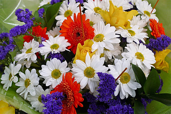 Flowers, Bouquet, Flora HD wallpaper