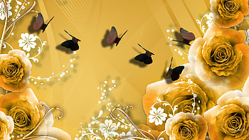 Gold Roses HD wallpaper