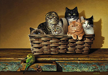 Basket of felines, parakeet, white, black, shelf, cats, variety, orange, basket, brown, sitting HD wallpaper