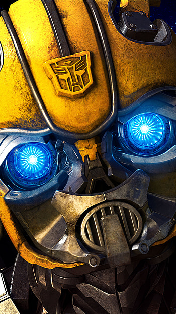 Close-up, Bumblebee HD phone wallpaper