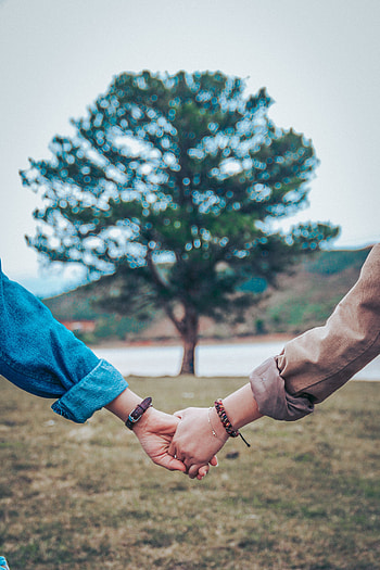 Love, Wood, Couple, Pair, Tree, Blur, Smooth, Hands, Tenderness HD phone wallpaper