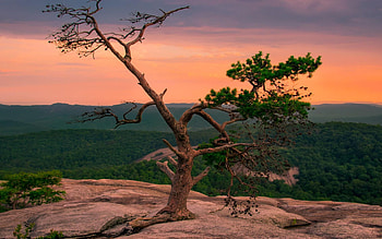 Sunset at Stone Mountain in beautiful North Carolina, rocks, tree, clouds, landscape, colors, sky, usa HD wallpaper