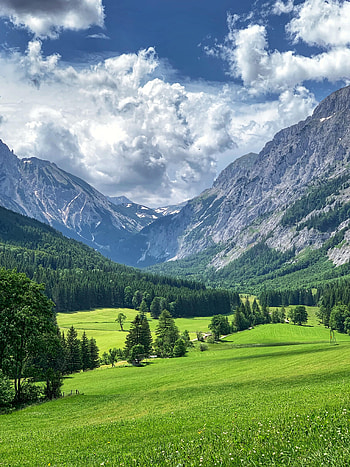 Landscape, Nature, Trees, Grass, Mountains, Valley HD phone wallpaper