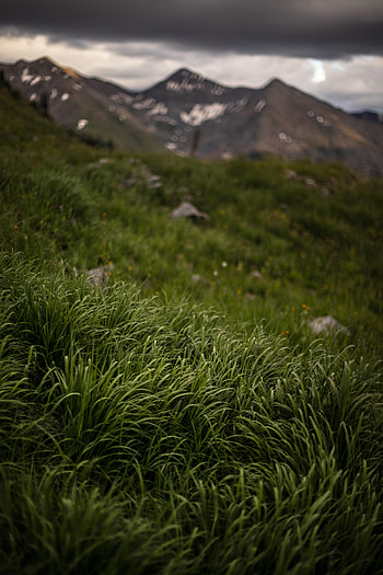 Landscape, Nature, Grass, Stones, Mountains, Greens HD phone wallpaper