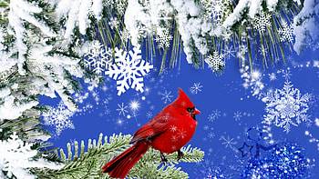 Winter , blue, winter, bird, firefox persona, snowman, snowflakes, snow, trees, sky, cardinal HD wallpaper