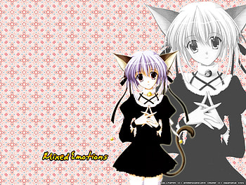 Mixed Emotions, white, black, cat, purple, pink, neko, anime, violet HD wallpaper