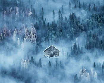 Winter, Nature, Snow, Forest, Fog, House HD wallpaper