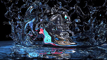 Pink Dolphin Clothing HD wallpaper