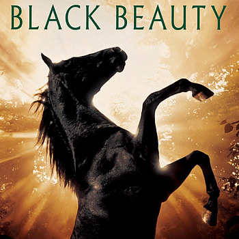 Black Beauty movie, Heartwarming story, Beloved horse, Emotional journey HD phone wallpaper