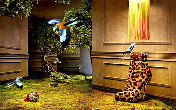 SPRING BEAUTY, walls, bird, glamor, spring, Shoes, tree HD wallpaper