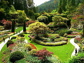 Butchart Gardens, trees, bushes, garden, flowers HD wallpaper