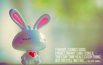 quote from a song, forget, entertainment, quote, country, bunny, music, true, forgive, rabbit HD wallpaper