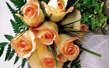 Flowers, Grass, Roses, Bouquet HD wallpaper