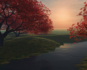 Nice, trees, watter, red HD wallpaper