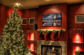 Christmas, holiday, tree, red HD wallpaper