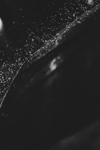 Water, Drops, Dark, Surface, Bw, Chb HD phone wallpaper