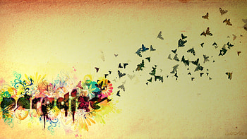 Butterflies, Birds, Sky, Words, Bright, Flight HD wallpaper
