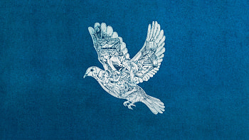 Coldplay, Ghost stories, , Music HD wallpaper