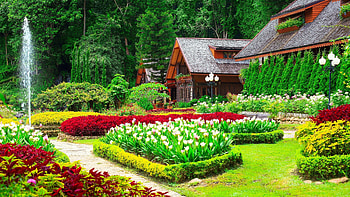 Flower house, Cozy retreat, Quaint charm, Floral paradise HD wallpaper