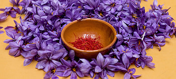 Bowl, Saffron HD wallpaper