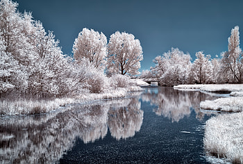 Ice Lake Frozen Trees , lake, winter, trees, nature, snow, ice HD wallpaper