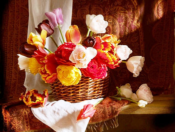 Basket of spring flowers, basket, colors, nature, flowers, tulips, spring, beauty HD wallpaper