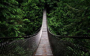 Landscape, Bridges HD wallpaper