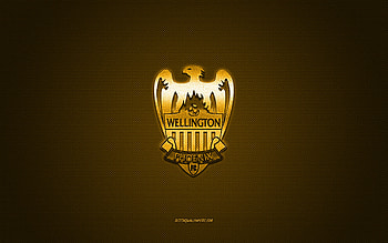 Wellington Phoenix FC Reserves, New Zealand football club, yellow logo, yellow carbon fiber background, New Zealand National League, football, Wellington, New Zealand, Wellington Phoenix FC Reserves logo HD wallpaper