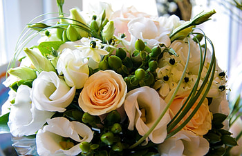 Flowers, Roses, Registration, Typography, Bouquet, Gorgeous, Chic, Lisianthus Russell, Lisiantus Russell HD wallpaper