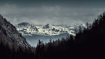 Landscape View Of Snow Covered Mountains Spruce Trees Forest With Fog Mountains HD wallpaper