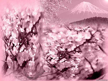 sakura, pink, fantasy, japan, fuji HD wallpaper
