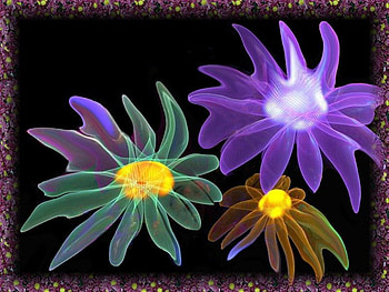 flowers gone wild, colors, neon, wild, flower HD wallpaper