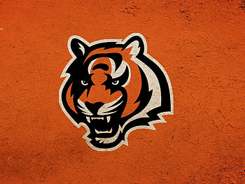 Cincinnati Bengals | , backgrounds high . HD wallpaper