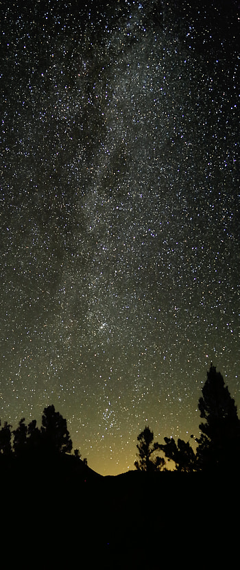 Trees, Stars, Night, Dark, Silhouette, Starry Sky, Nebula HD phone wallpaper