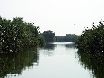 Romania-Danube Delta, danube delta, romania HD wallpaper