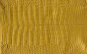 Hermes, Alligator Leather, Beautiful Leather, Crocodile Skin HD wallpaper