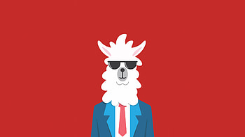 Fancy Liama Portait , minimalism, minimalist, artist, artwork, digital-art, deviantart HD wallpaper