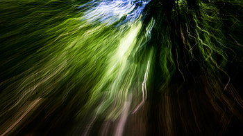 Abstract, Shine, Light, Beams, Rays, Blur, Smooth HD wallpaper