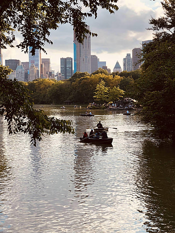 Central Park, Android HD phone wallpaper