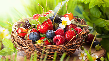 Bounty of berries, Vibrant and juicy, Perfect HD wallpaper