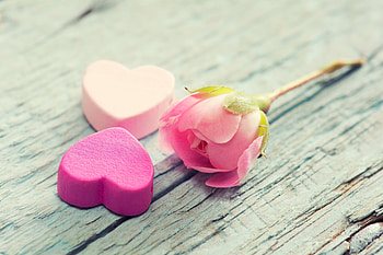 Flowers Love, love, flowers, candy HD wallpaper