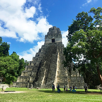 Remote ruins, Guatemalan jungles, Off the beaten path, Vogue's exploration HD phone wallpaper